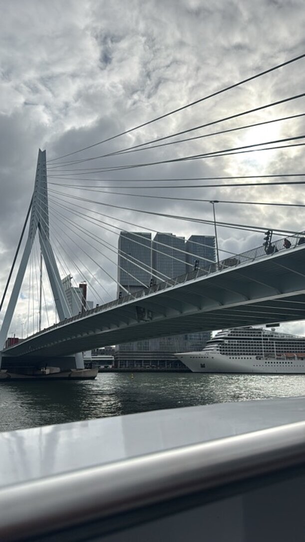 Erasmusbrücke in Rotterdam unter bewölktem Himmel