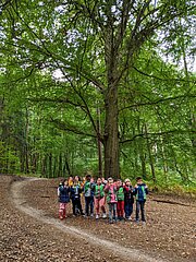 Vorschulkinder in Warnwesten auf einem Waldweg unter großen Bäumen